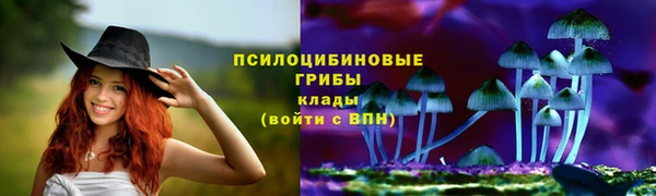 гидропоника Лиски