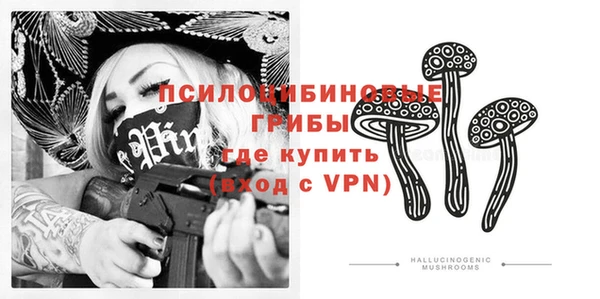 ешки Липки