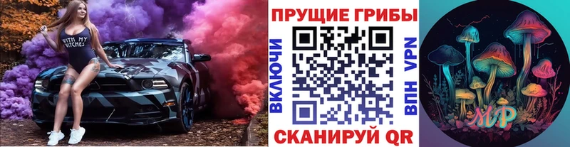 Галлюциногенные грибы Psilocybine cubensis  Сычёвка 
